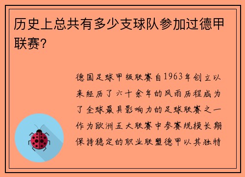 历史上总共有多少支球队参加过德甲联赛？